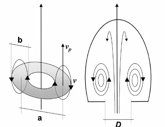 Figura  1  -  Princípio  da  formação  do  vórtice  no  enchimento  ventricular.  O  vórtice  é  semelhante ao anel de fumaça (lado esquerdo): - (a) diâmetro do núcleo do anel; - (b)  largura do vórtice; - (D) anel valvar atrioventricular