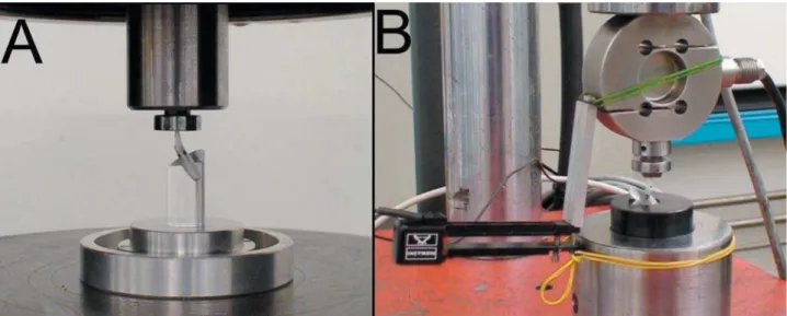 Figure 3- (A) Single load to fracture (SLF) and (B) dynamic loading testing machines