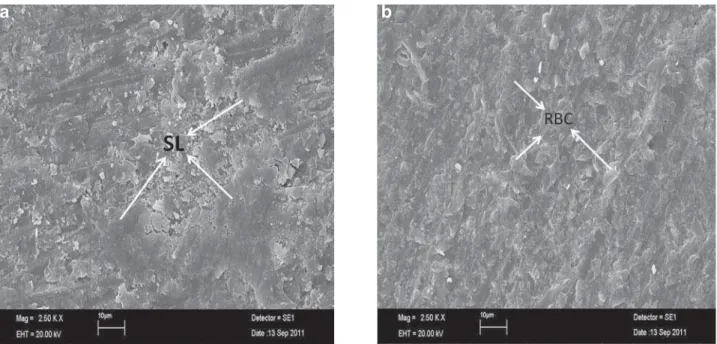 Figure 5- Scanning electron microscopy (SEM) images of the failure modes of debonded beam-shaped specimens (2,500× 