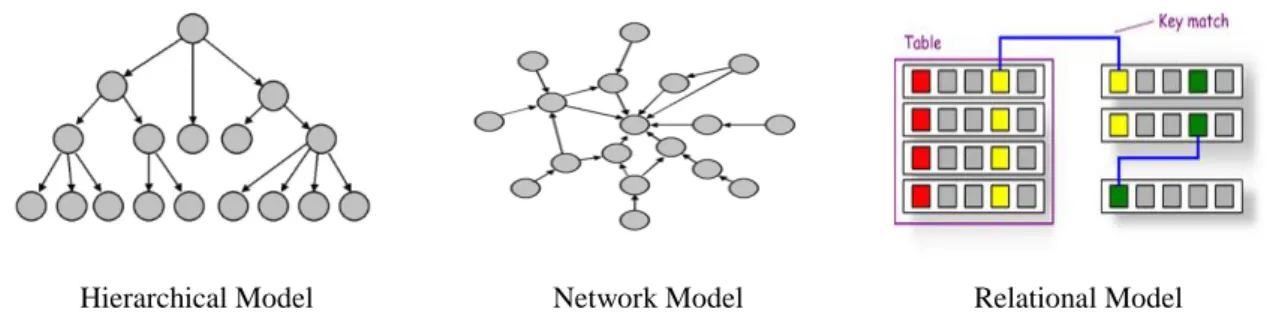 Figure 3: Logical types to organize information 