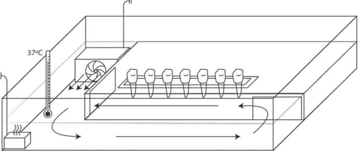 Figure 1- Device assembled to maintain temperature and humidity of teeth during bleaching procedures