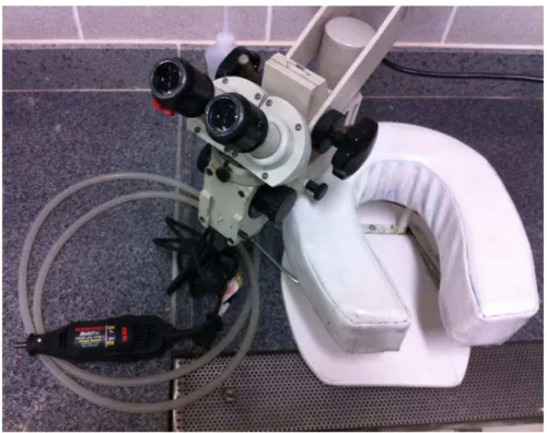 FIGURA 2 - Microscópio neurocirúrgico, micromotor elétrico e suporte para o  segmento cefálico 