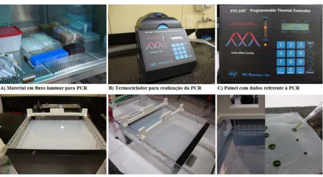 FIGURA 12 - Imagens da execução da técnica PCR em termociclador   e preparo da eletroforese em gel de agarose 