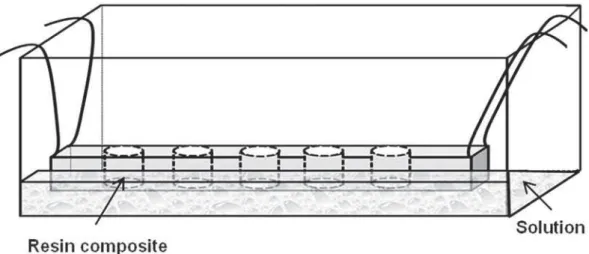 Figure 1- Schematic representation of the ethylene vinyl acetate (EVA) sheet rack used for the color change evaluationabsorption18
