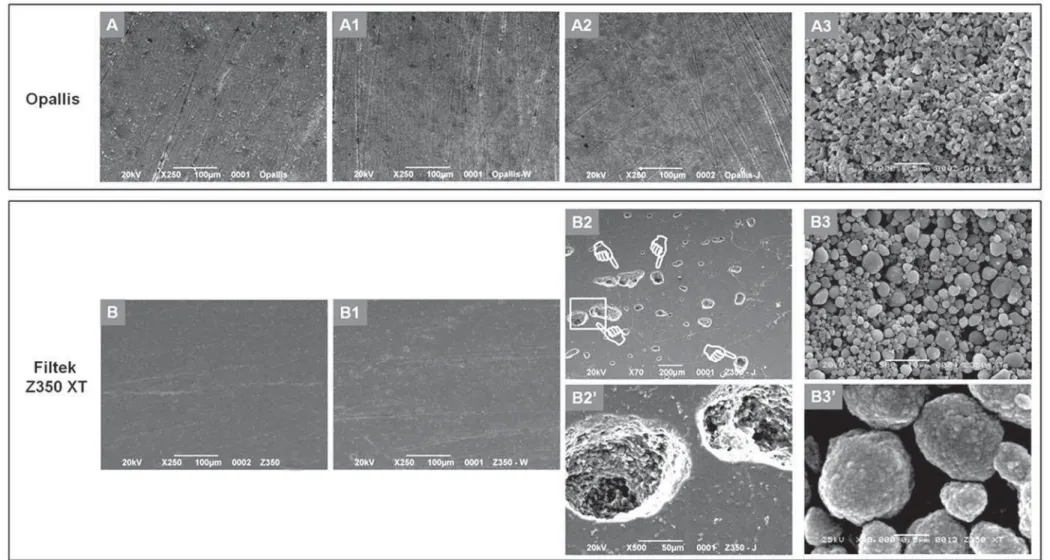 Figure 3- Representative scanning electron microscopy (SEM) images of the topographic aspect of the composites Opallis (control – A, water – A1; grape juice – A2) and Filtek 