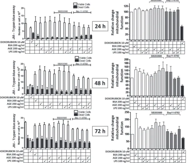 Figure 1- Modulation of cell death in the JM (lymphocyte) cell lineage. Right column corresponds to Trypan Blue Test, and  Left column to MTS assay