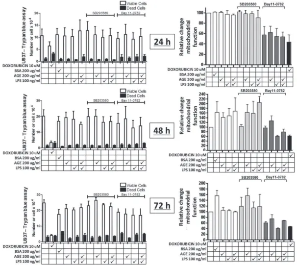 Figure 2- Modulation of cell death in the U937 (monocyte) cell lineage. Right column corresponds to Trypan Blue Test, and  left column to MTS assay