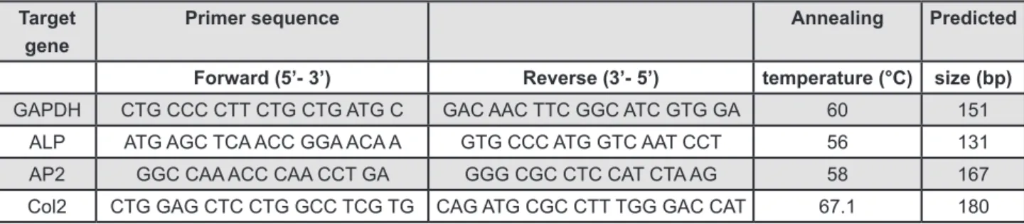 Figure 2- Primer sequences and conditions used for reverse transcriptase-polymerase chain reaction (RT-PCR)