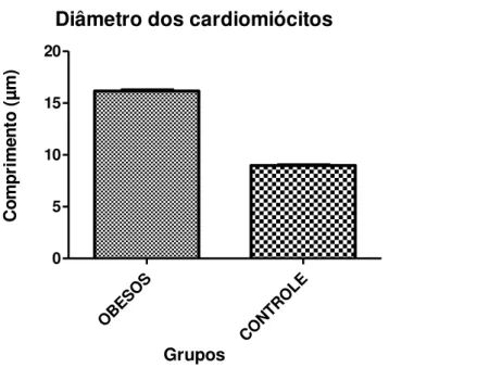 Figura  3-  Comparação  entre  os  valores  médios  do  diâmetro  dos  cardiomiócitos no grupo obeso e no grupo controle