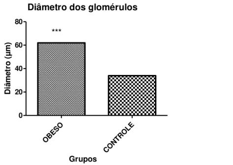 Figura  5.    Comparação  entre  os  valores  médios  do  diâmetro  dos  glomérulos no grupo obeso e no grupo controle