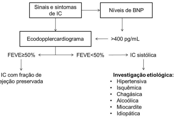 FIGURA  1  –   Fluxograma  de  investigação  clínica  da  insuficiência  cardíaca. 