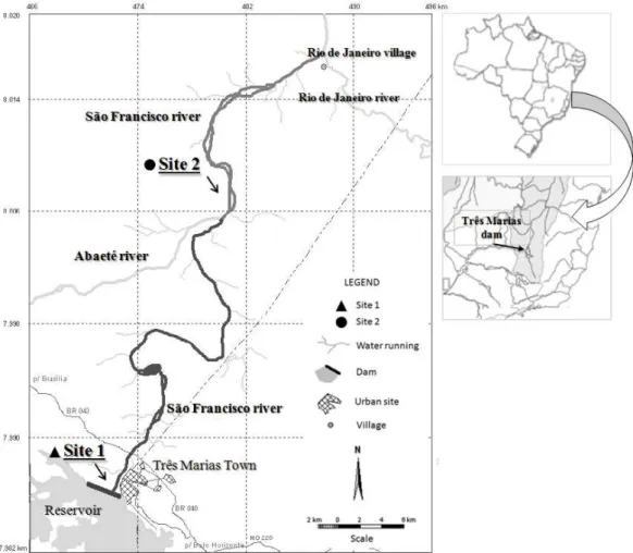 Figura 2. Locais de estudo no rio São Francisco. Os pontos de coleta estão identificados  como Site 1 (imediatamente após a jusante da represa de Três Marias- JB) e Site 2 (após  a confluência com rio Abaeté- JA)