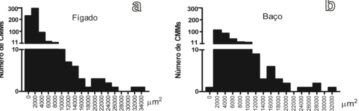 Figura  11.  Distribuição  de  freqüência  da  área  dos  CMMs  no  fígado  (a)  e  baço  (b)  de  Prochilodus argenteus
