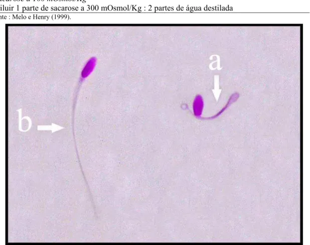 Tabela 2. Preparo da solução de sacarose a 100 mOsmol/L (solução hiposmótica) Sacarose a 300 mOsmol/Kg 