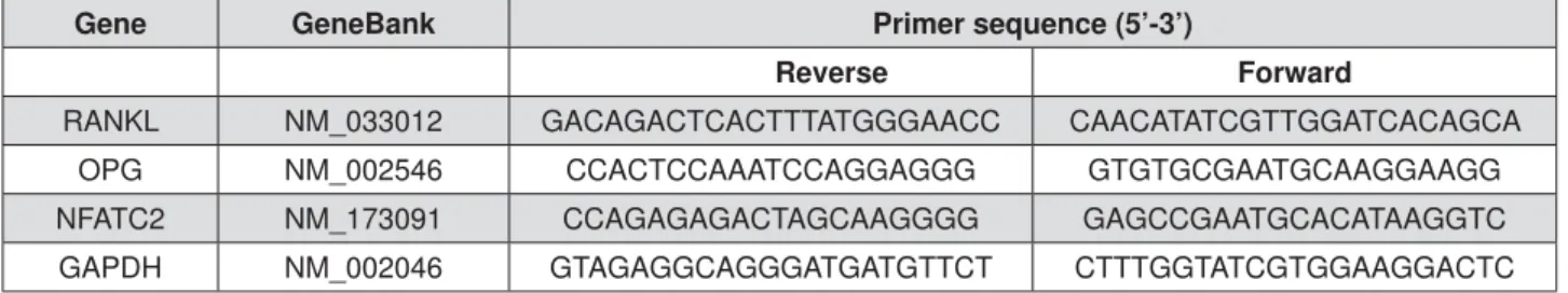 Figure 1- Primer used in real-time PCR analysis