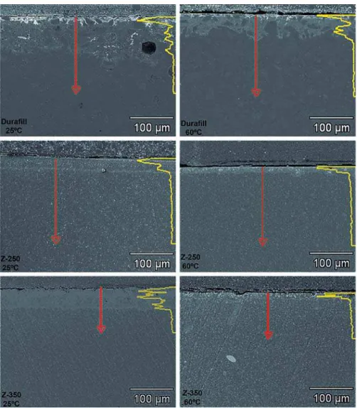 Figure 4- Patterns of silver penetration obtained via linear analysis with EDS, in association with different temperatures  and composites