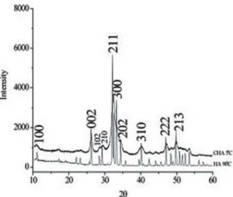 Figure 1- X-Ray Diffraction pattern (XRD) of the  carbonated hydroxyapatite (CHA) powder