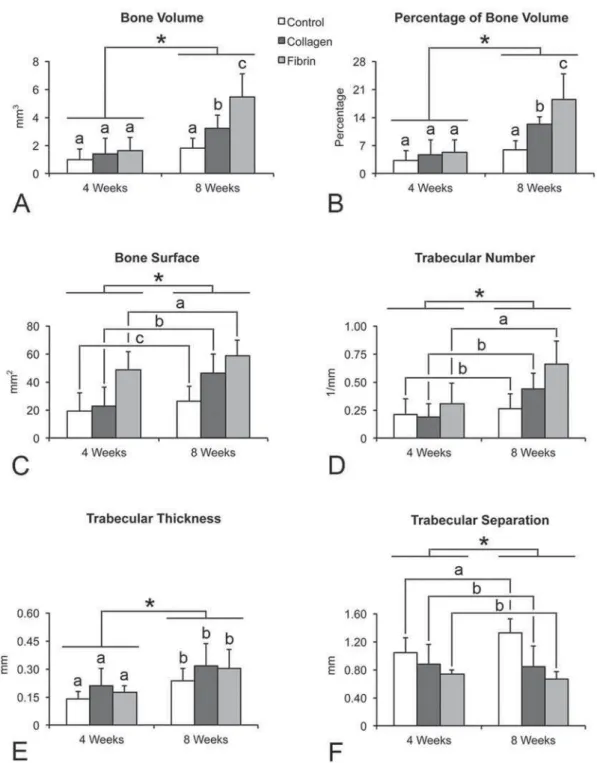 Figure 2- Morphometric parameters, bone volume (A), percentage of bone volume (B), bone surface (C), trabecular  number (D), trabecular thickness (E) and trabecular separation (F), obtained from three-dimensional reconstructed 