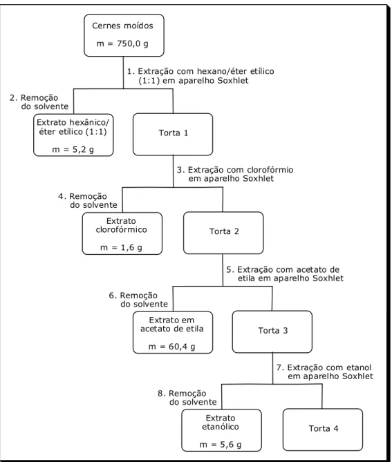 Figura 11 – Esquema do preparo dos extratos de cernes de raízes de M. gonoclada 