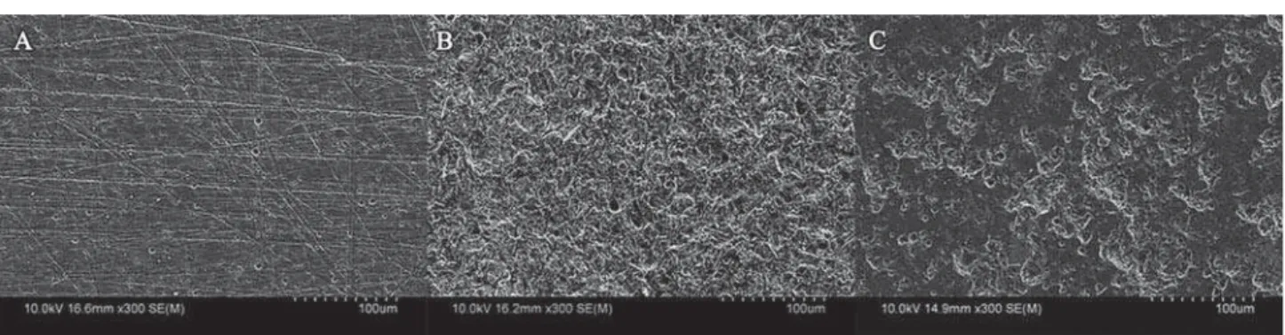 Figure 2- Scanning electron micrographs of the surfaces of the Cerasmart (CS) specimens after different pretreatments; 