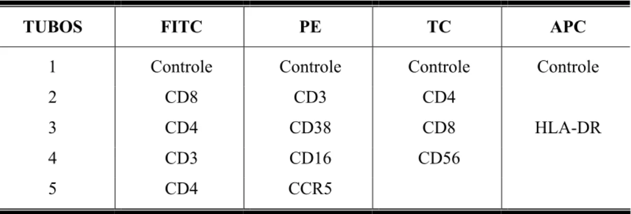 TABELA 2 - Anticorpos monoclonias marcados com fluorocromos utilizados para  análise de populações, subpopulações celulares e moléculas de superfície