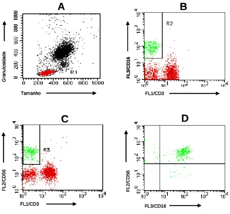 FIGURA 6 –  Seqüência de procedimentos utilizados para as análises dos percentuais das  subpopulações de células NK: CD3 - CD16 + CD56 -  e CD3 - CD16 + CD56 +  por citometria de  fluxo