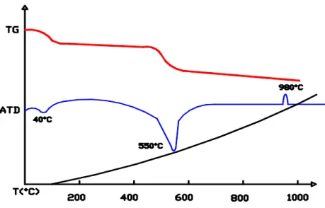 Figura 3. 2 – Curvas termodiferencial e termogravimétrica da argila caulinítica.         Fonte: BATTAGIN (1987) apud SOUZA (2003)