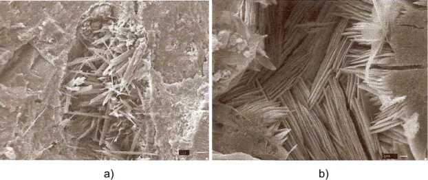 Figura 3. 20 – Produtos de hidratação do cimento. a) Cristais de etringita; b) cristais de  monossulfato de cálcio