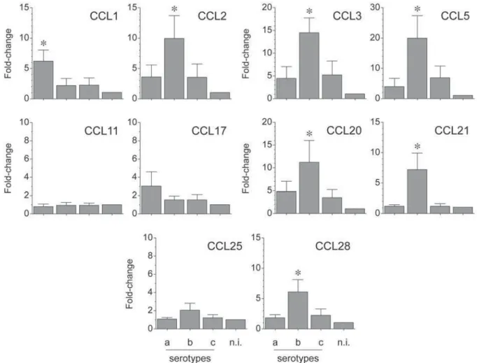 Figure 3- CC chemokines (CCL) expression by A. actinomycetemcomitans-induced T lymphocytes