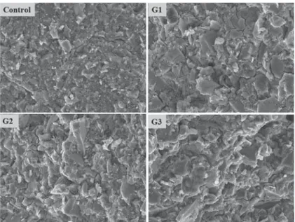 Figure 2 shows variation in the setting time for  cements formed at the powder liquid ratio of 2:1