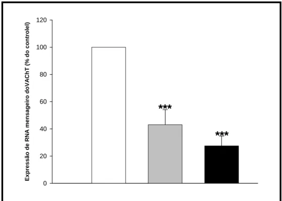 Figura 10: Quantificação por PCR em tempo real da expressão de mRNA do  VAChT nos camundongos VAChT mutantes
