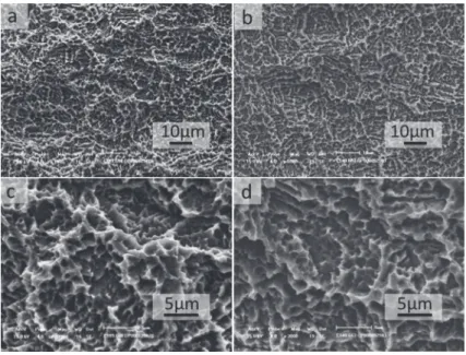 Figure 1- Scanning electron microscopy of implants surface. Group 1 (a and c) and Group 2 (b and d)