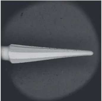 Figure 1- Scanning electron microscope photomicrograph  (X10) showing the TripleGates instrument