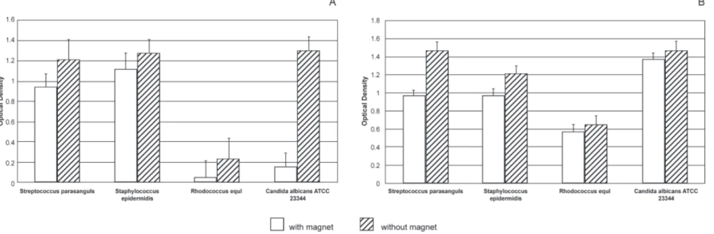 Figure 1- Optical density values upon 24 and 48 h of incubation with a inoculum density of 1 CFU/ml