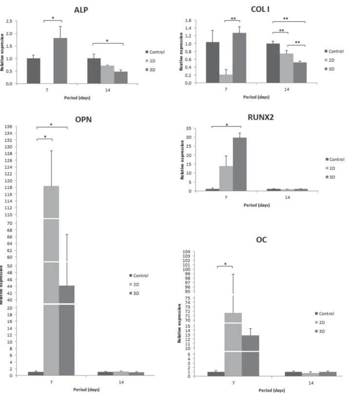 Figure 5- Gene expression of COL I, ALP, RUNX2, OPN and OC in hPDLF cultured on different groups at 7 and 14 days  using real-time polymerase chain reaction (PCR)