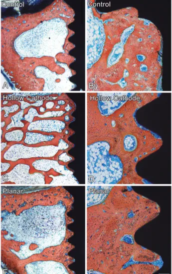 Figure 3- Bone formation around Ti implant surfaces  placed into rabbit tibiae at 6 weeks