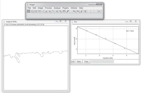 Figure 2- ImageJ software used to obtain the fractal dimension, represented by the value D