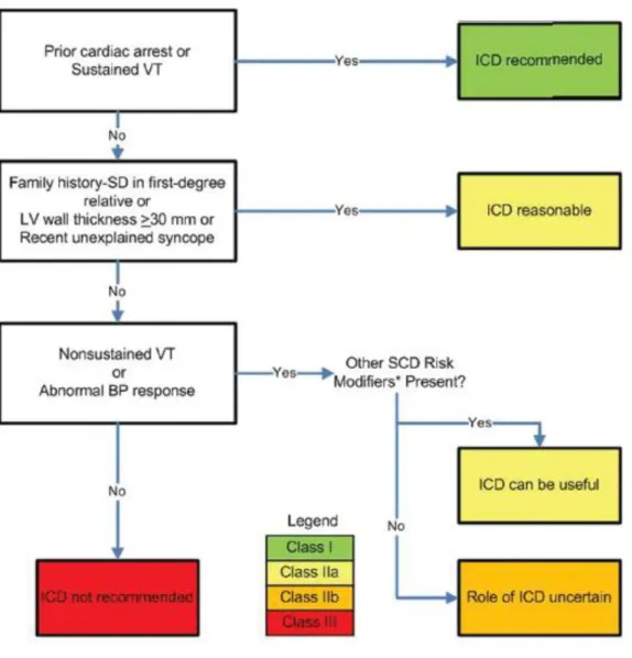 Figura 2. Algoritmo para indicação de implantação de CDI, na CMH [1] .  