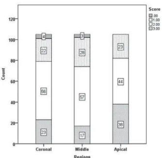 Figure 4- The distribution of scores for double antibiotic  paste removal in the coronal third