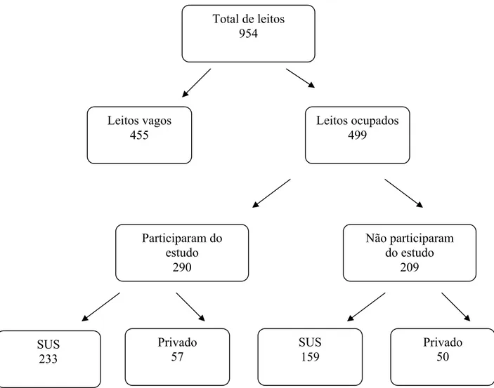 Figura 1 Distribuição dos leitos pediátricos, considerando-se ocupação, categoria econômica e  os utilizados para o estudo, em Belo Horizonte, no período de 07/2004 a 01/2005