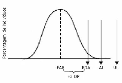 Figura  1  –  Modelo  didático  com  os  diferentes  valores  de  referência  de  ingestão