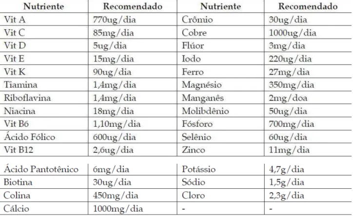 Figura 2. Recomendações de micronutrientes para gestantes entre 19 e 50 anos 