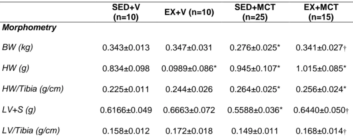 Table  2  summarizes  the  analyzed  morphometric  parameters.  In  comparison  to  all  groups,  SED+MCT  presented  lower  BW  (P&lt;0.05)  while  this  was prevented in EX+MCT