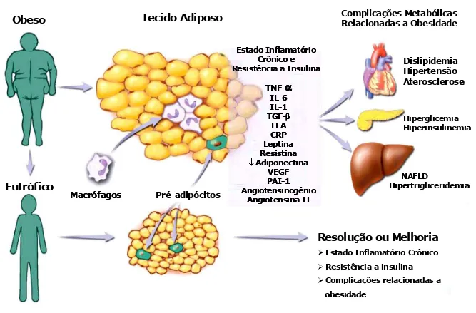 Figura 1: Alterações bioquímicas, imunológicas e fisiológicas da obesidade. 
