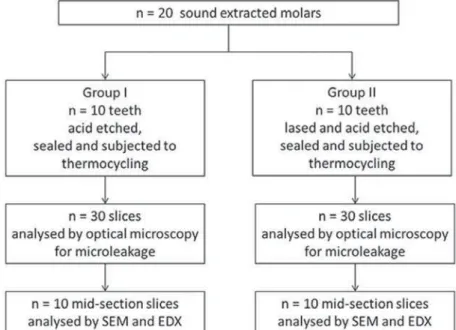 Figure 2- Flow diagram of experimental procedures
