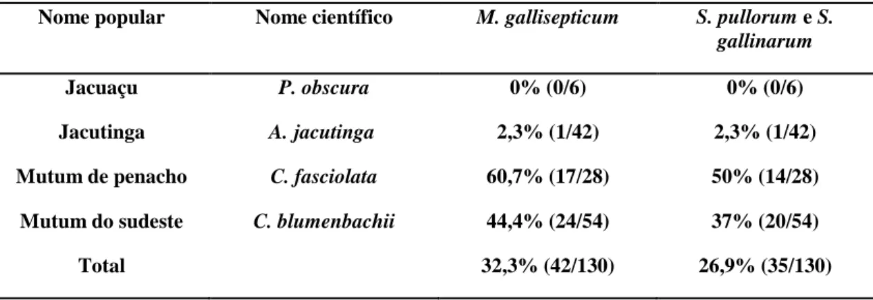 Tabela 5. Resultados da soroaglutinação rápida em placa para M. gallisepticum e S.  pullorum/S