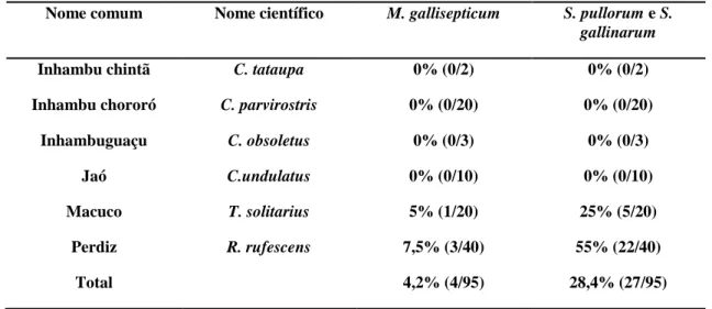 Tabela 6. Resultados da soroaglutinação rápida em placa para M. gallisepticum e S.  pullorum/S