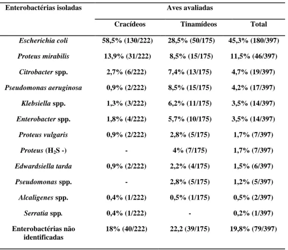 Tabela 10. Isolamento de enterobactérias de swab cloacal nos cracídeos e tinamídeos  mantidos em cativeiro no estado de Minas Gerais (2008 a 2009)