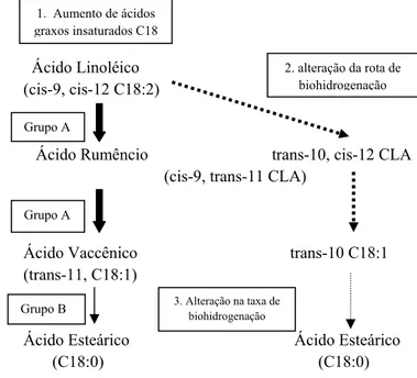 Figura 1. Proposta esquemática do processo de biohidrogenação do ácido linoléico sob  condições normais (1); e sob alteração do ambiente ruminal (2)