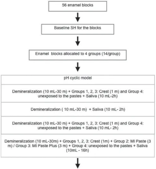 Figure 1- Flow chart illustrating the study protocol 
